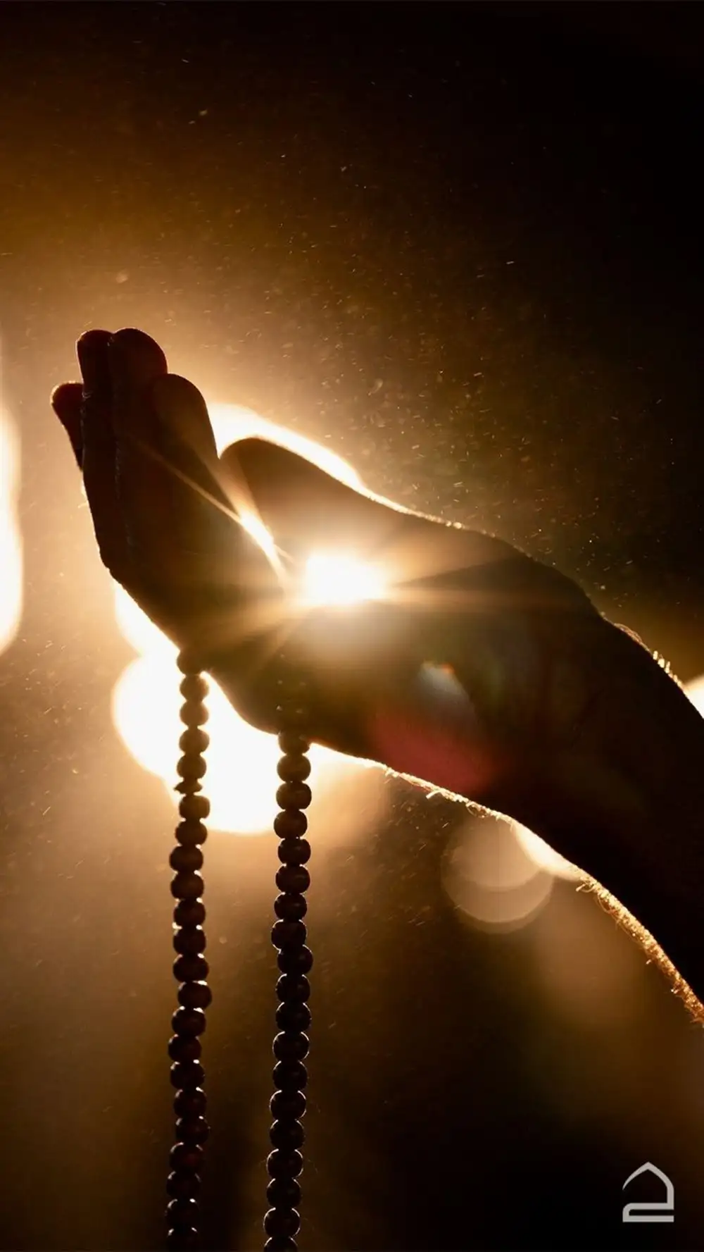 Optimize Your Business